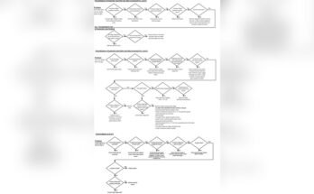 Lb White Heater Troubleshooting