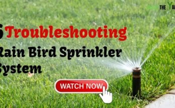 Rain Bird Sprinkler System Troubleshooting