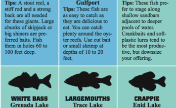 What Fish Can You Catch In Rivers And Lakes?