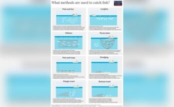Types of Fishing