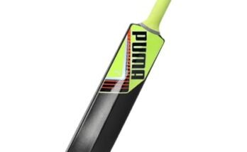 Best Cricket Bat For Beginners