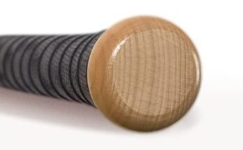 Best Wooden Baseball Bat