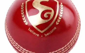 Best Leather Cricket Ball