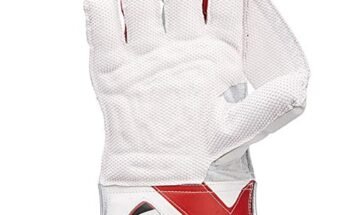 Best Cricket Wicket Keeping Gloves