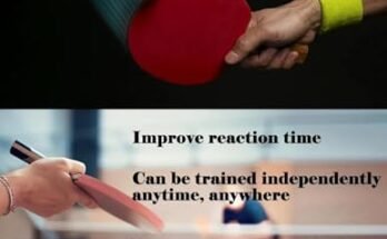 Best Table Tennis Practice Equipment