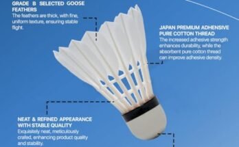 Best Shuttlecock Feather