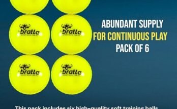 Best Cricket Ball For Training