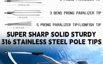 Best Spearfishing Equipment Kits