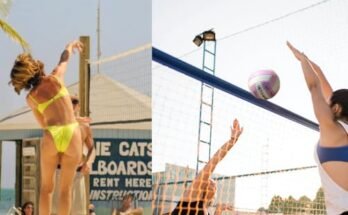 Best Soft Touch Volleyball