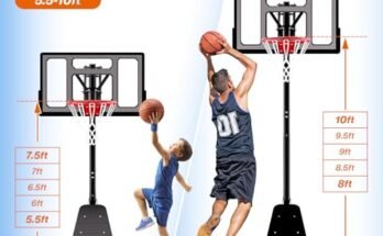 Best Portable Basketball System