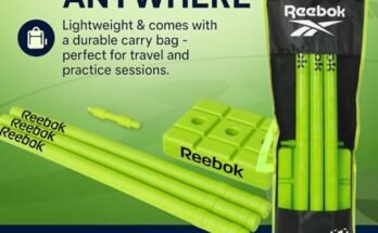 Best Cricket Stumps Set