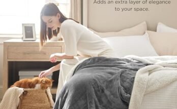 Best Heated Blanket For Winter