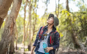 How Do You Stay Safe While Hiking Alone