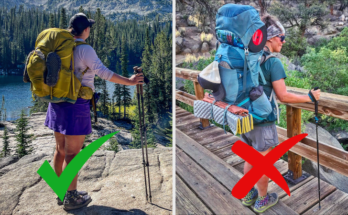 What Wildlife Safety Tips Are Important For Solo Hikers