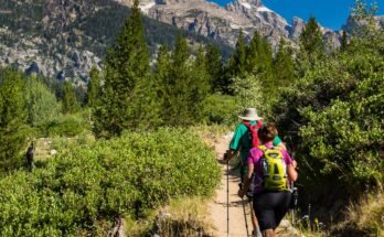 What Is Solo Hiking And Why Do People Do It?
