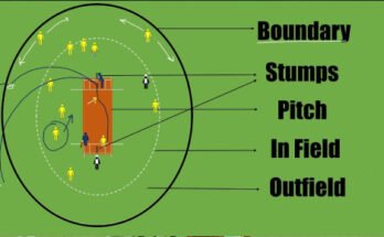 What Are The Basic Rules Of Cricket