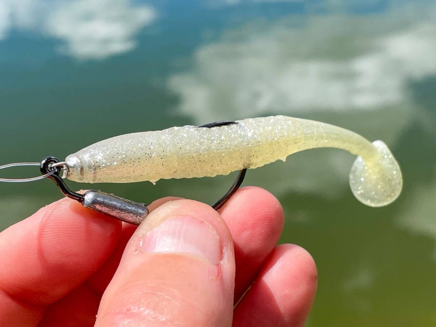 Can A Water Bouncer Be Used In Saltwater?: Safety Tips Can A Water Bouncer Be Used In Saltwater?