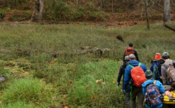 How Do You Handle Emergencies During Solo Hiking?