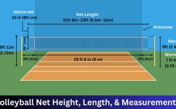 How High Is A Volleyball Net?