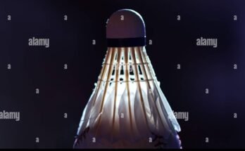 Why Are Badminton Shuttlecocks Made From Feathers